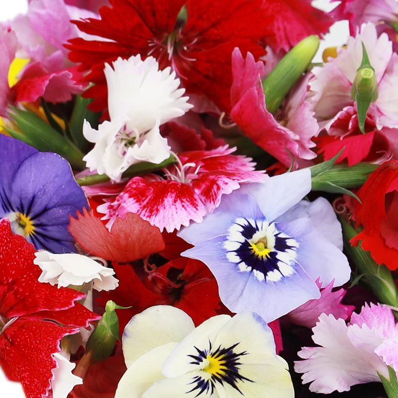 Mixed Flowers