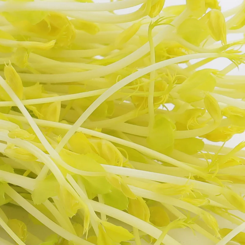 Pea Sprouts