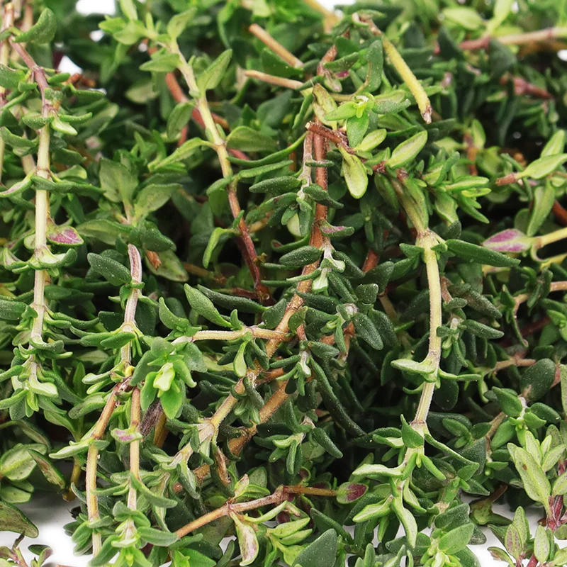 Thyme