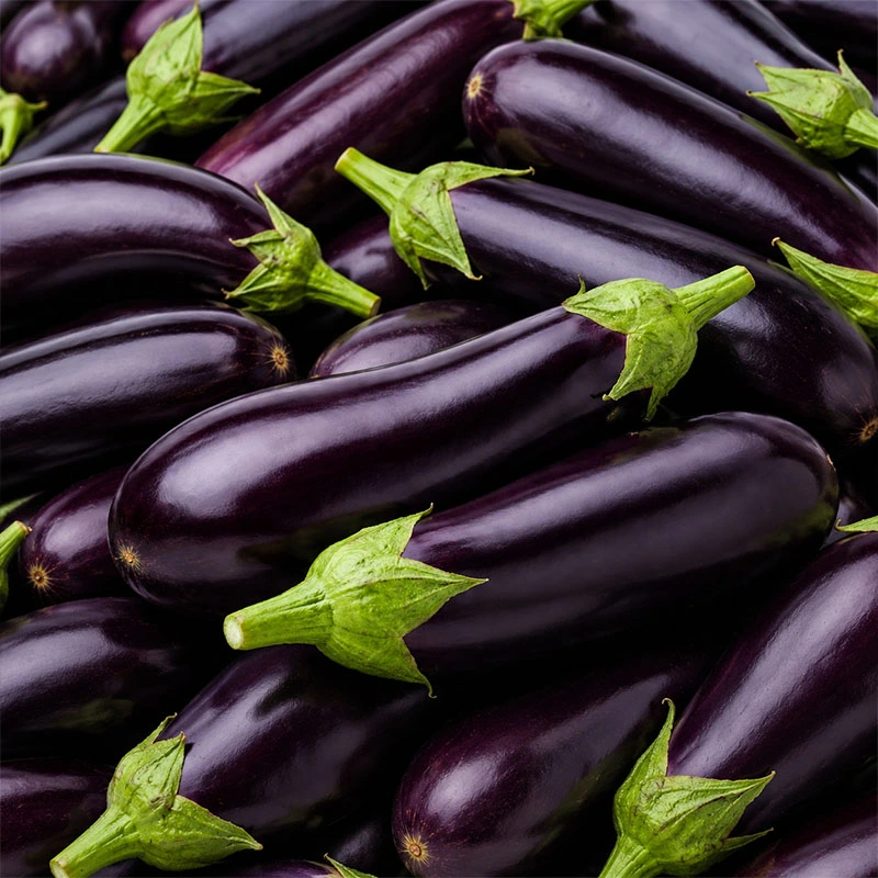 Bell Shaped Eggplant