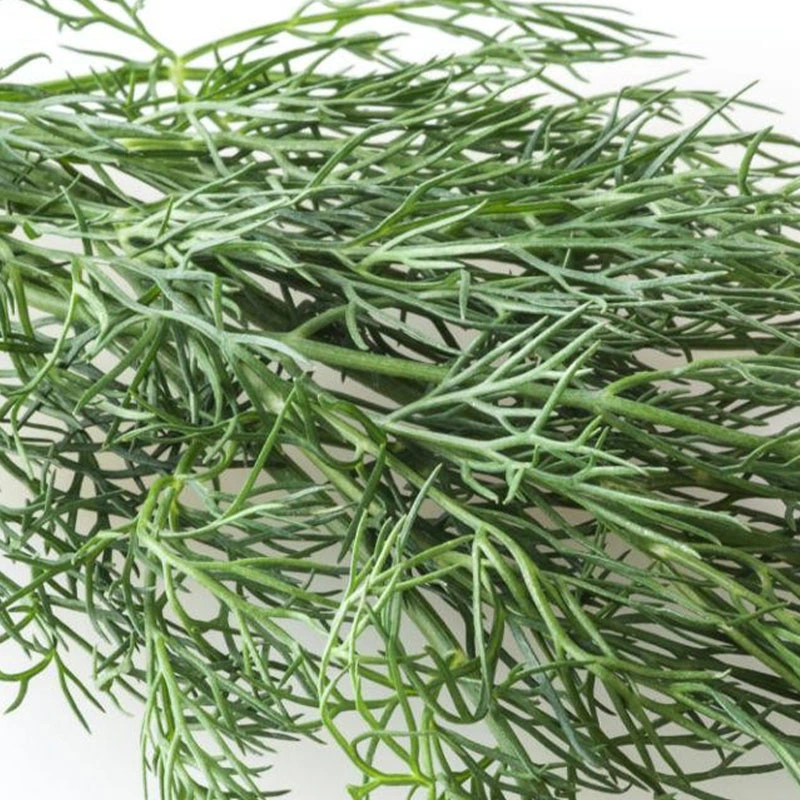 Dill