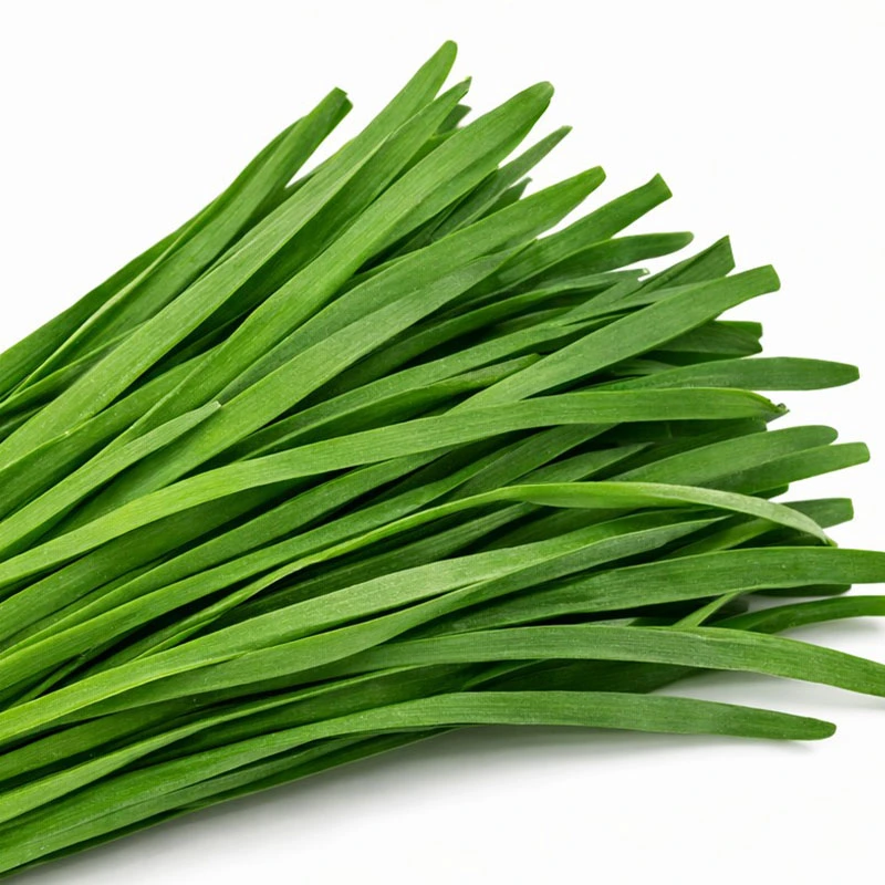 Garlic Chives