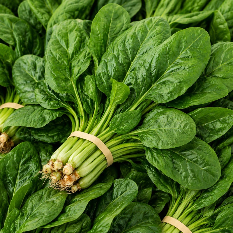 Spinach