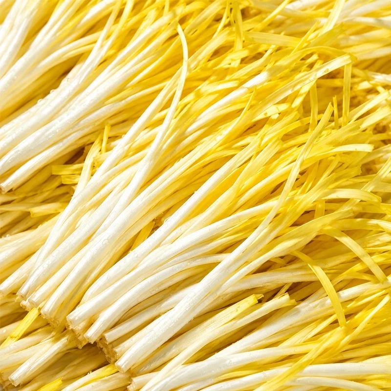 Gold Garlic Chives