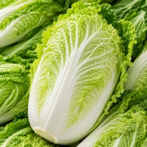 Chinese Cabbage