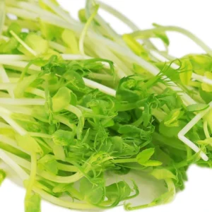 Pea Shoots